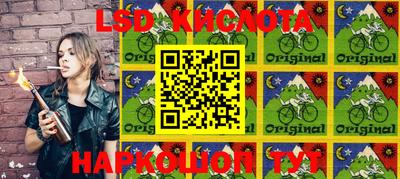 ПСИЛОЦИБИНОВЫЕ ГРИБЫ Ирбит