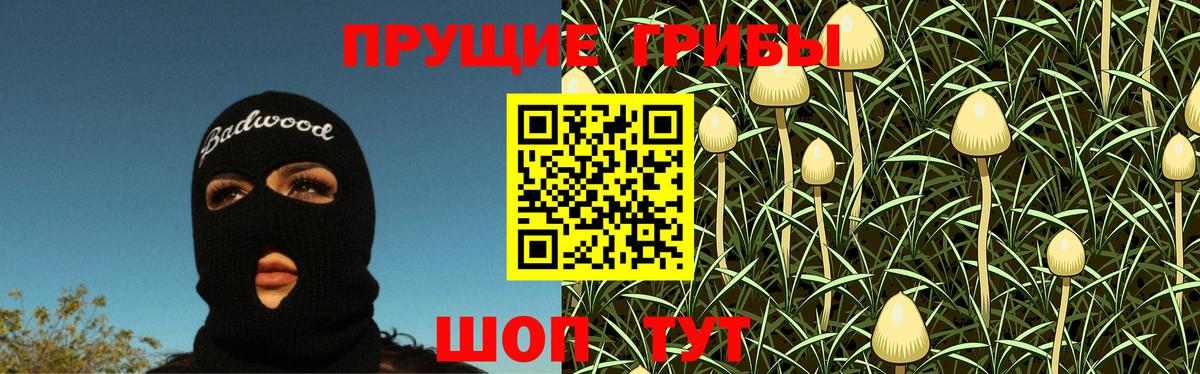 цена   Псилоцибиновые грибы Cubensis  Вход с VPN  Зеленодольск 